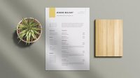 Free Resume Template