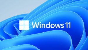 Windows 11 Users Get Emergency Patch for Recovery Mode USB Problem