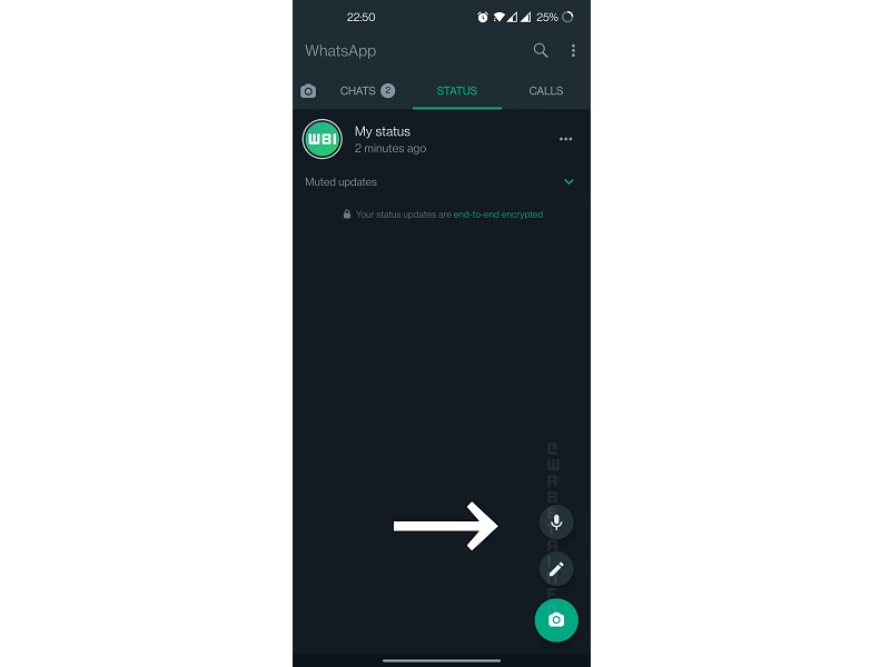 WhatsApp is testing the voicemail feature in Status