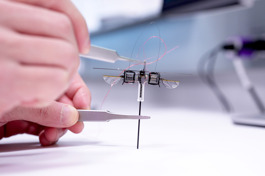 Bee-Inspired Robotics at MIT Could Help Crops Thrive Beyond Earth Credit: MIT News