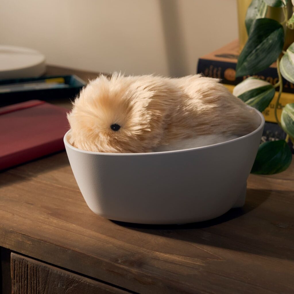 Casio Opens Pre-Orders for Moflin Robot Pet in US and UK