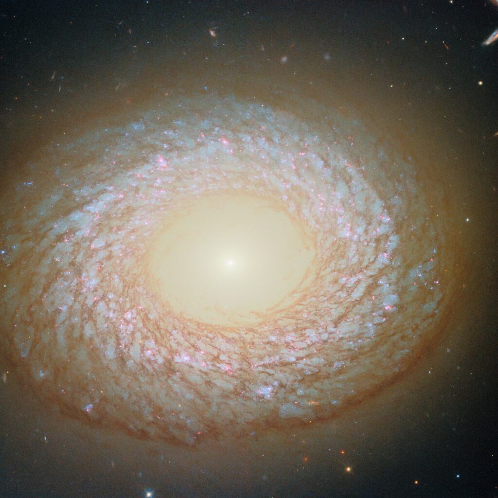 Distant Galaxy Challenges Conventional Classification
