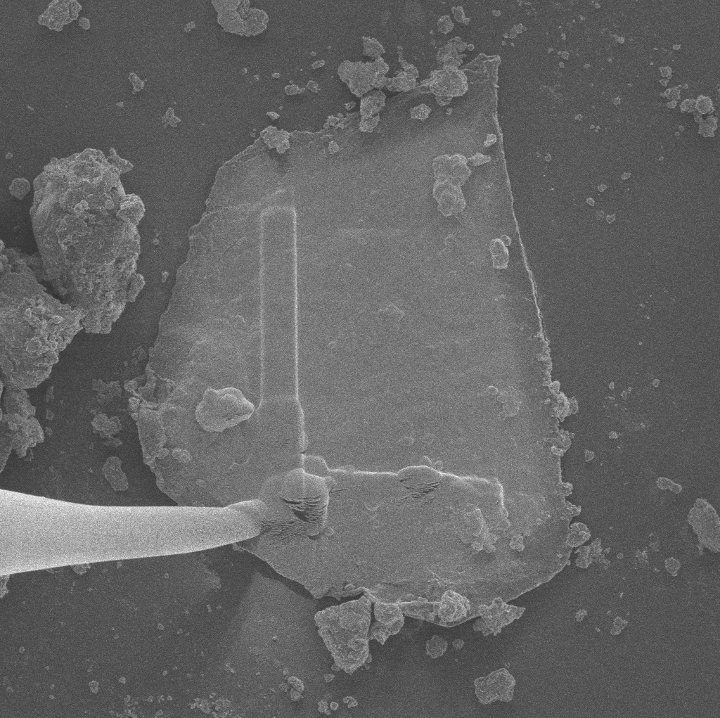 Bennu Asteroid Samples Reveal Sugars, Ancient Material and Abundant Stardust
