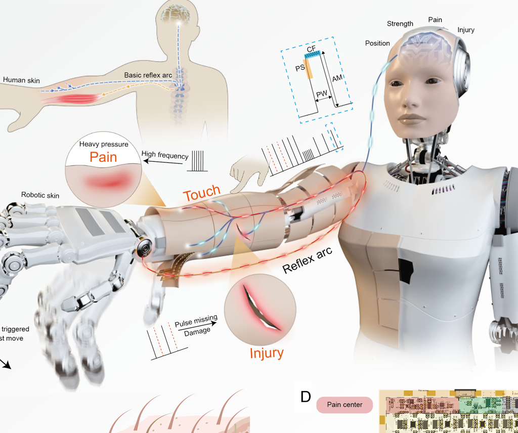 Hong Kong Researchers Develop Robotic Skin That Triggers Pain-like Reflexes
